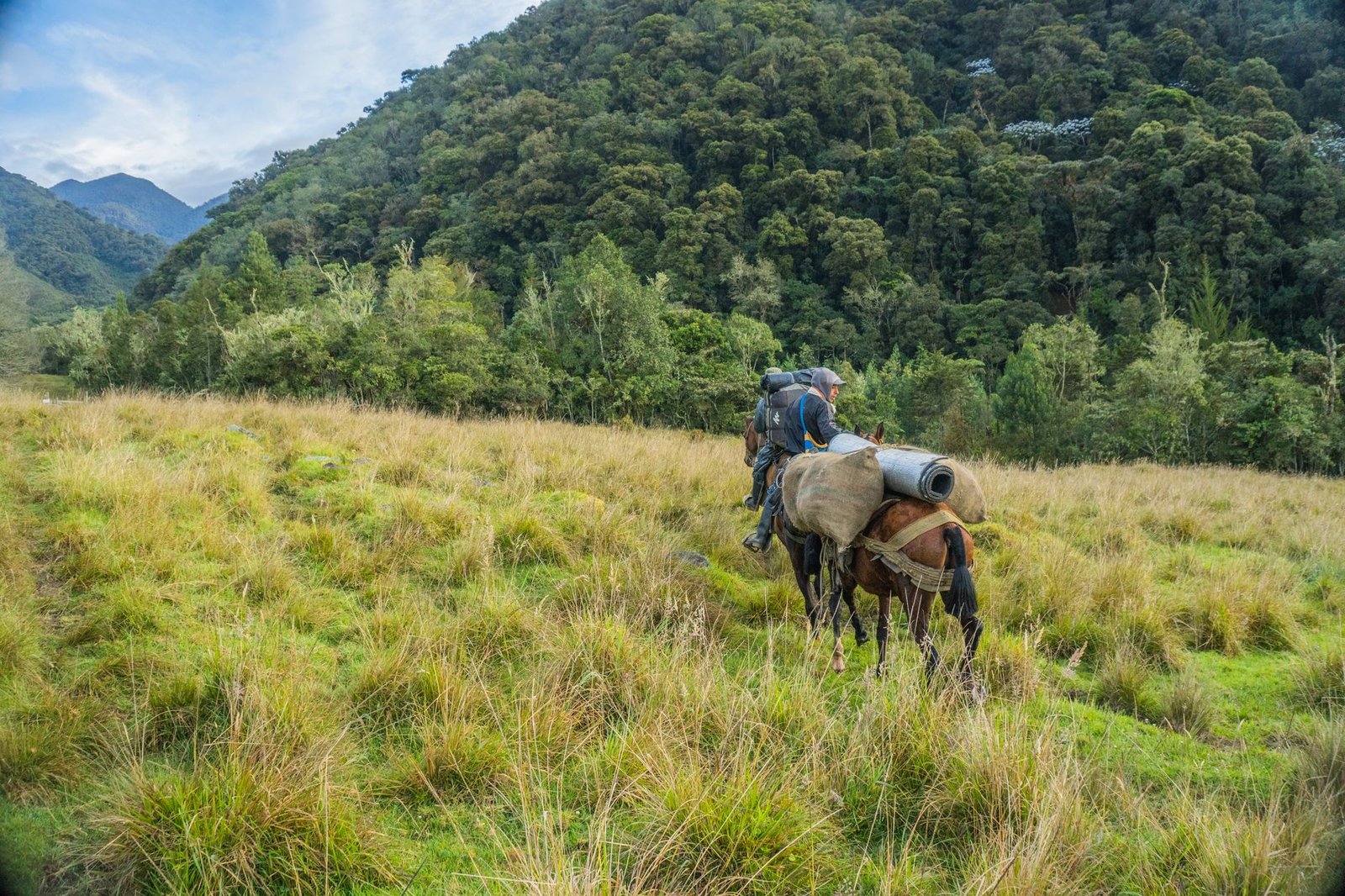 A man on horseback traverses the rural landscape of Urrao, Antioquia, Colombia