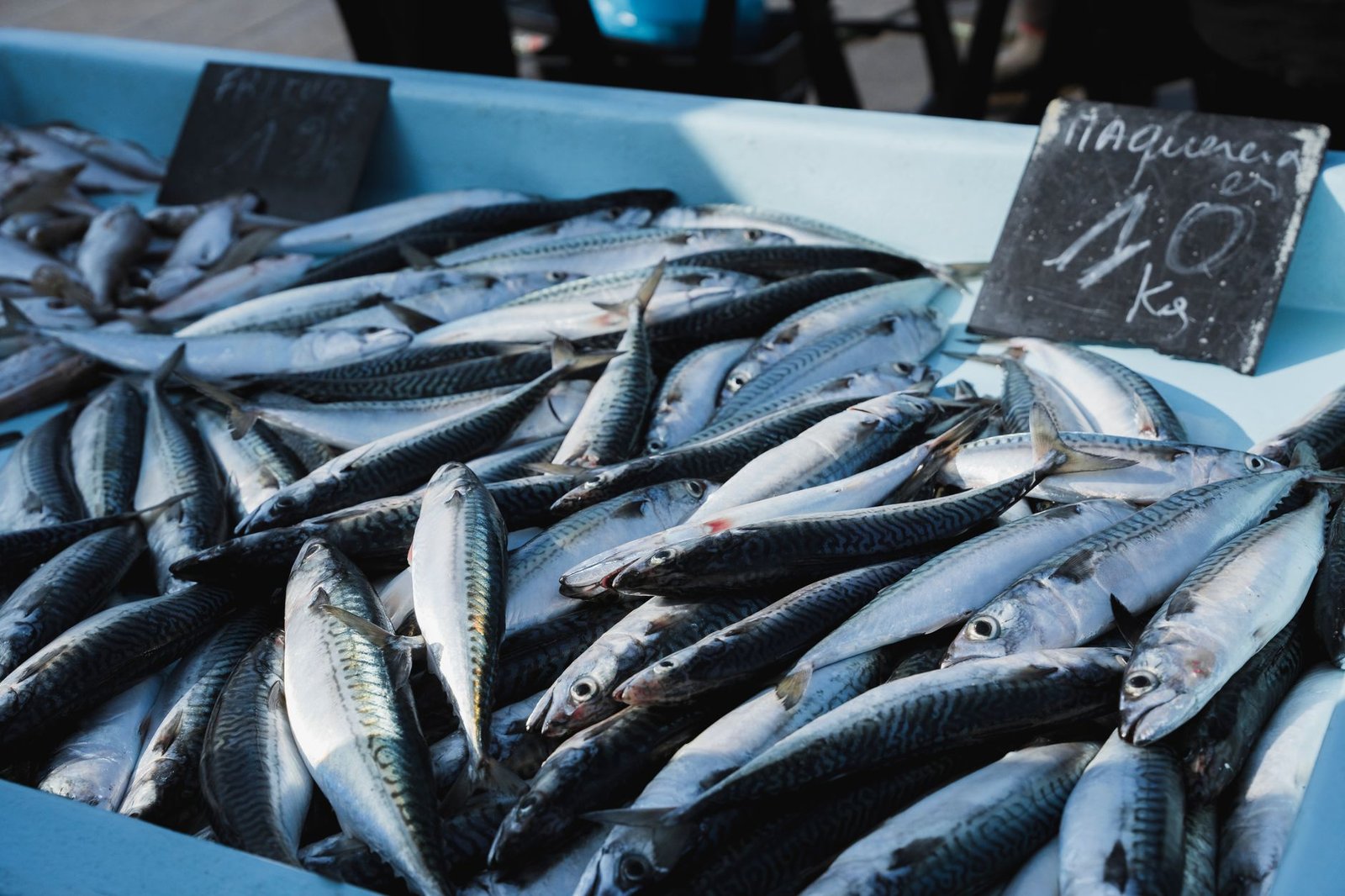 A variety of fresh mackerel on display at an open-air market. Perfect for culinary and fish cuisine themes