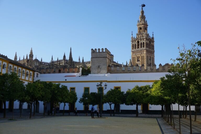 View of the iconic Giralda Tower and Seville Cathedral bathed in daylight, with trees in the foreground