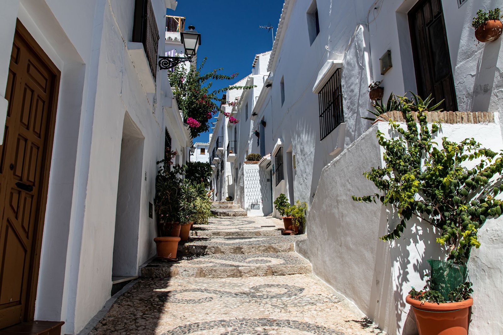 A cobblestone street lined with whitewashed buildings and potted plants under a clear blue sky