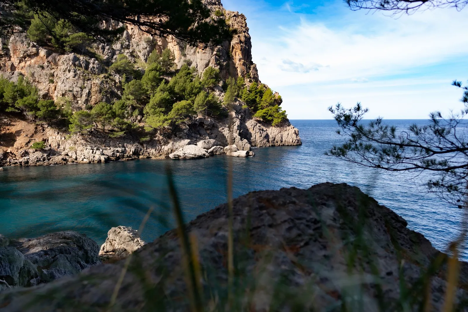 Beautiful rocky cove with turquoise sea and pine trees under a clear blue sky, creating a natural landscape