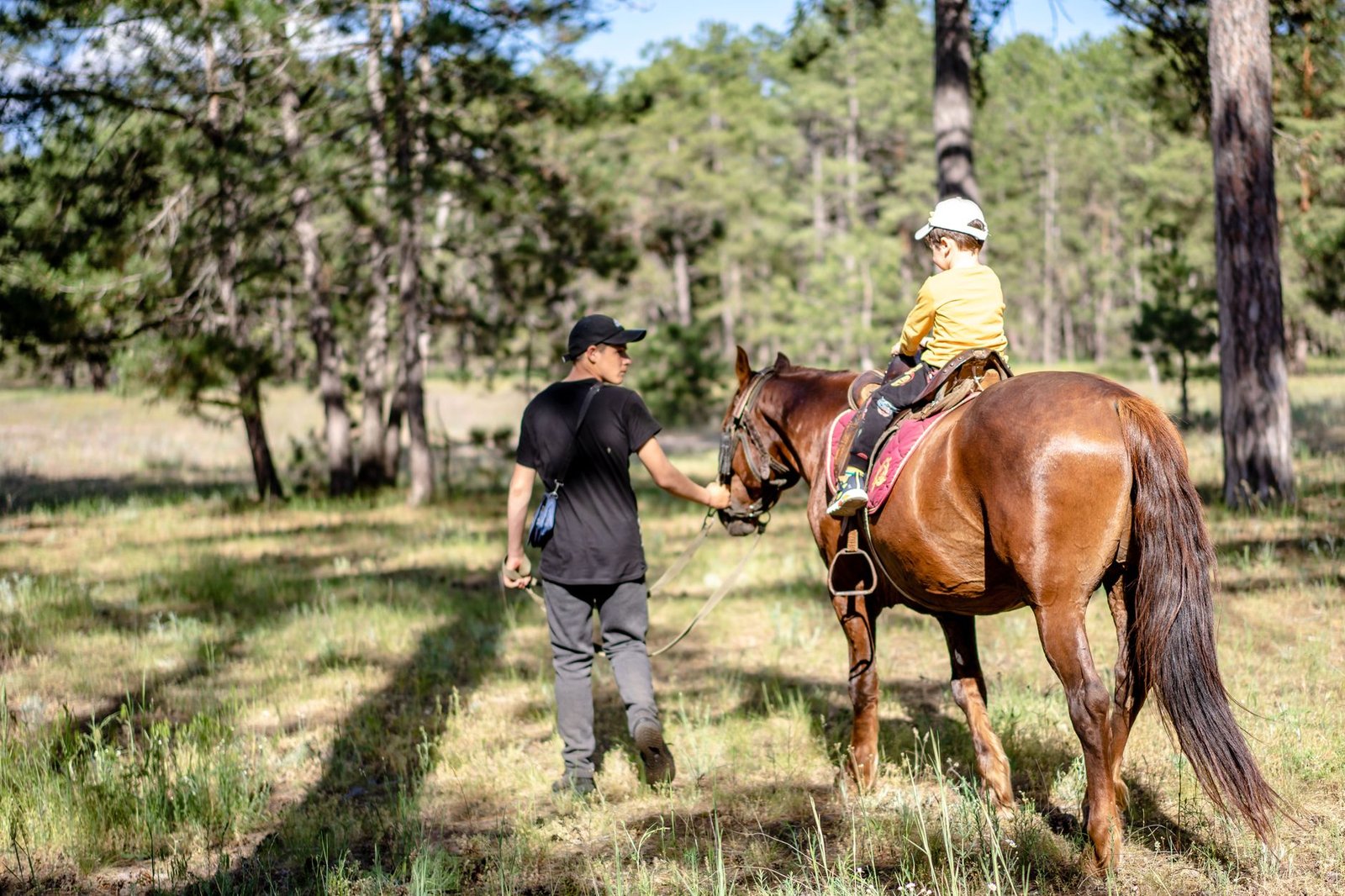 A child receives a horseback riding lesson in a scenic forest, led by an instructor during a sunny day