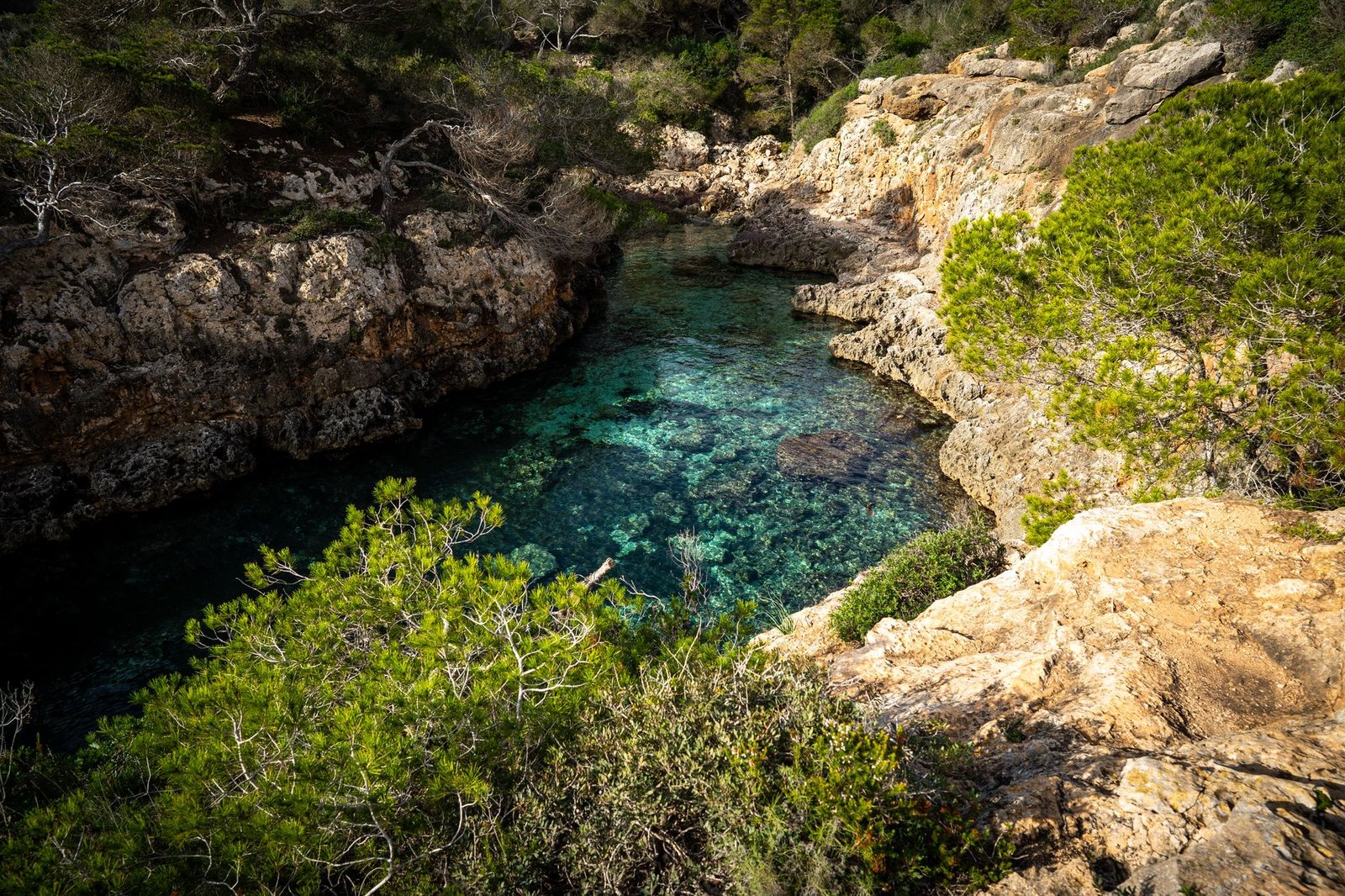 A tranquil cove with clear turquoise water surrounded by rocky cliffs and green trees