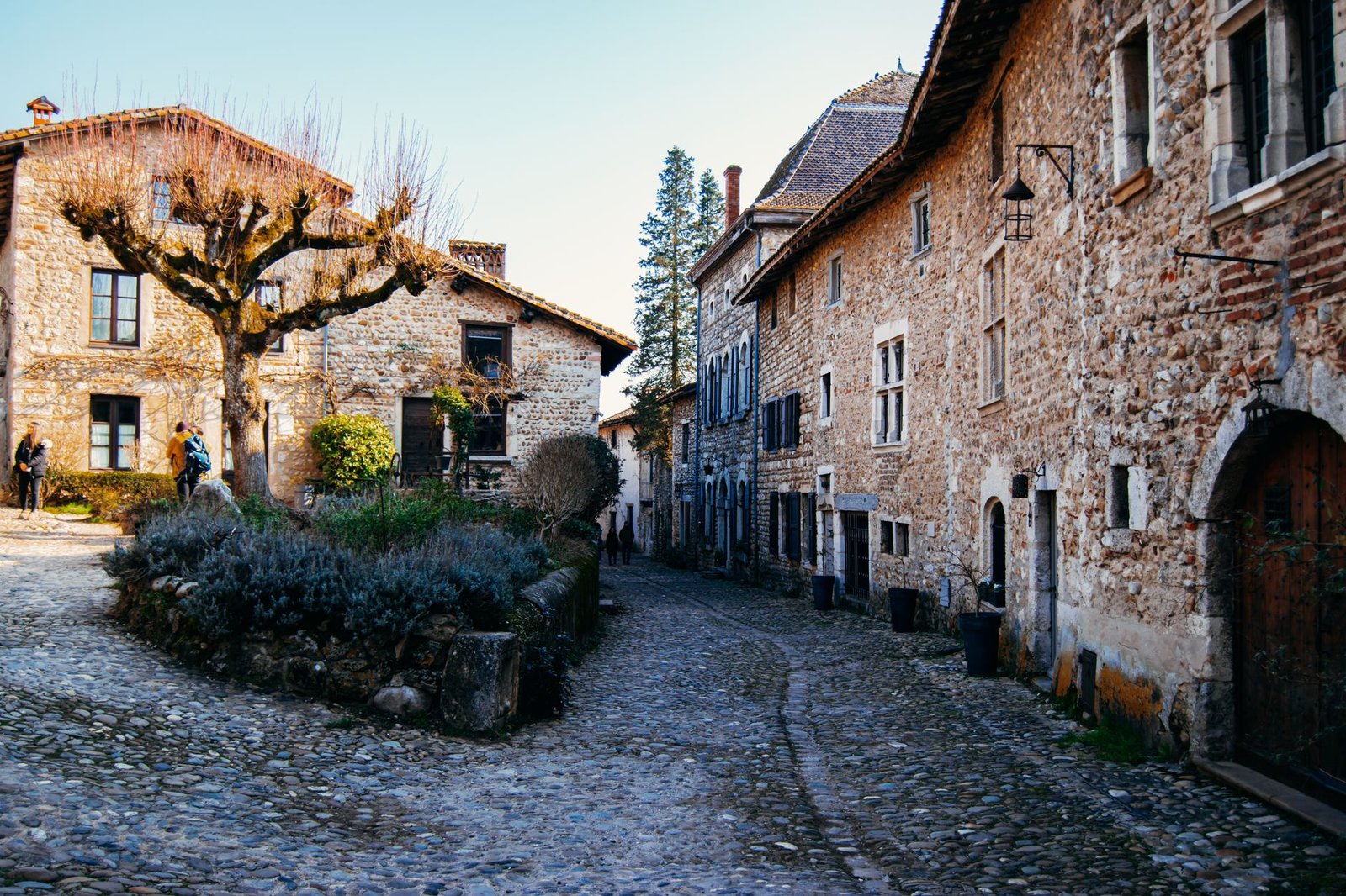 cobblestone street in Lyon, France with rustic stone buildings and winter tree