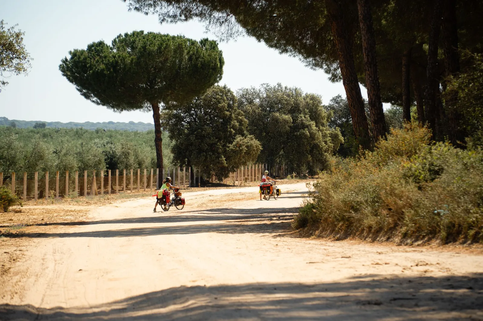 Two cyclists biking on a sunny day along a dirt road in a rural, tree-lined setting