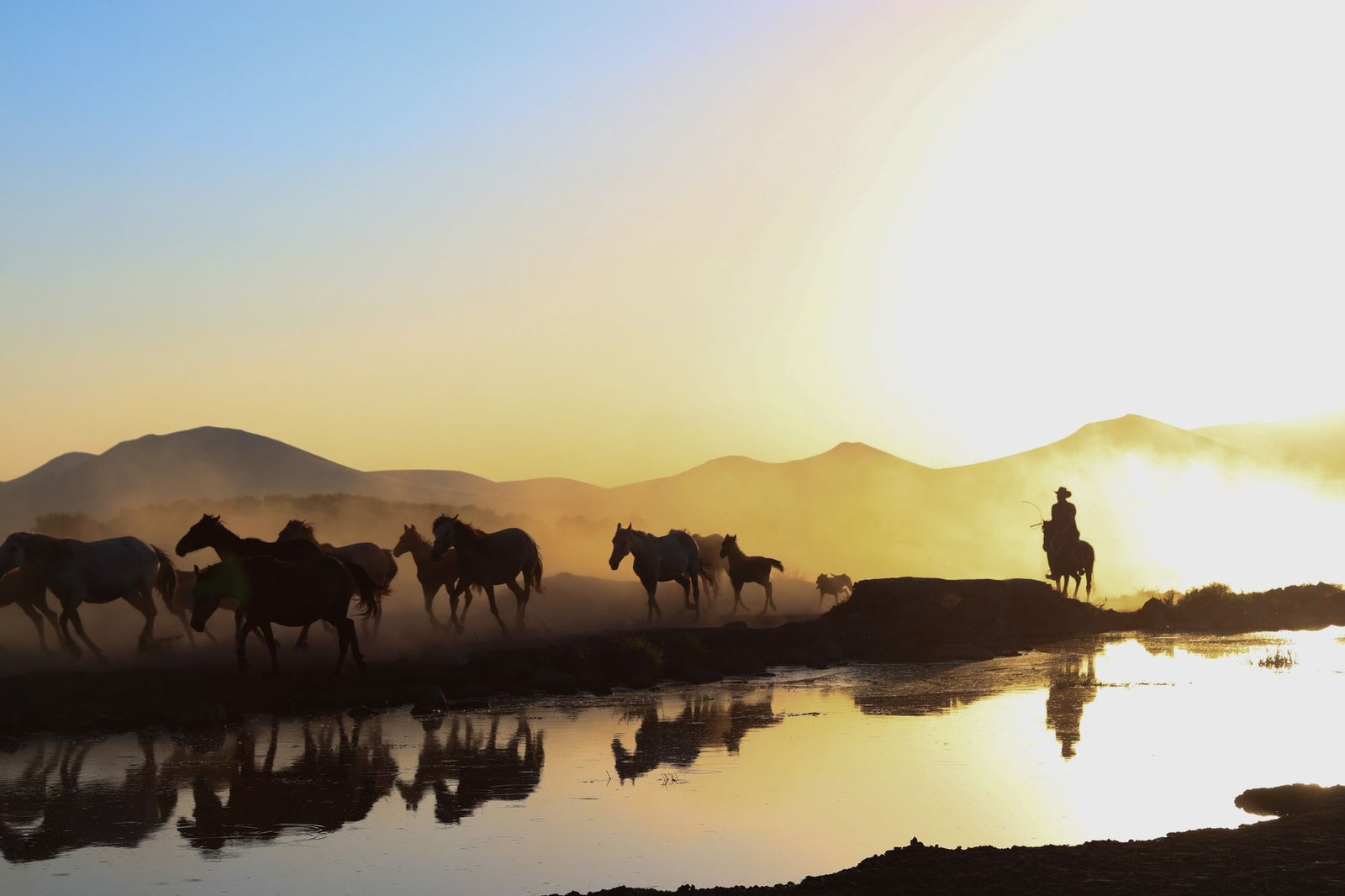 A herd of horses galloping by a river at sunset with a cowboy silhouette, creating a dramatic scene