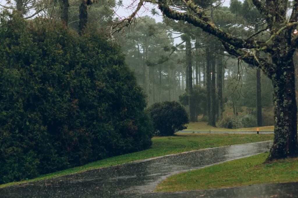 Falling for Galicia’s rainy season unique appeal feels right.