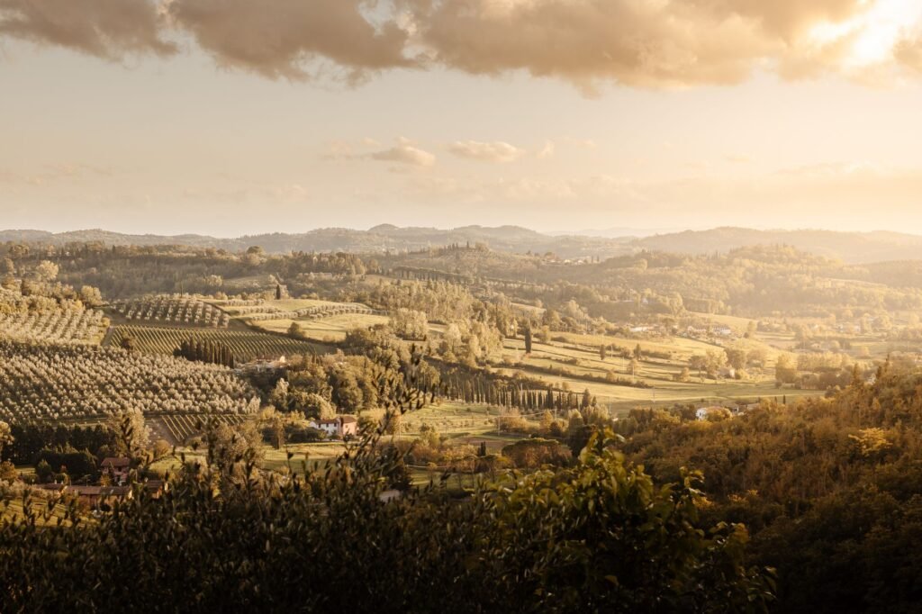 The Andalusia olive harvest experience calls you home