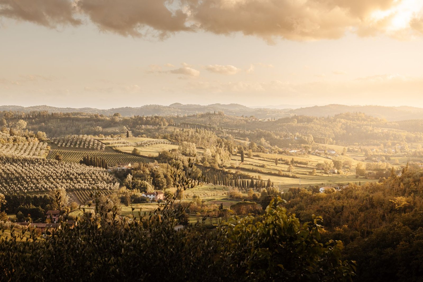 A view of the Tuscan countryside at sunset, showcasing rolling hills and greenery