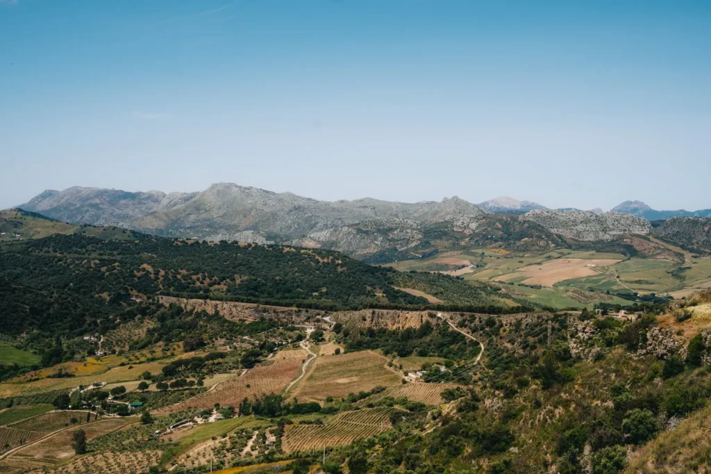 My Granada or Seville trip: one city claimed my affection.