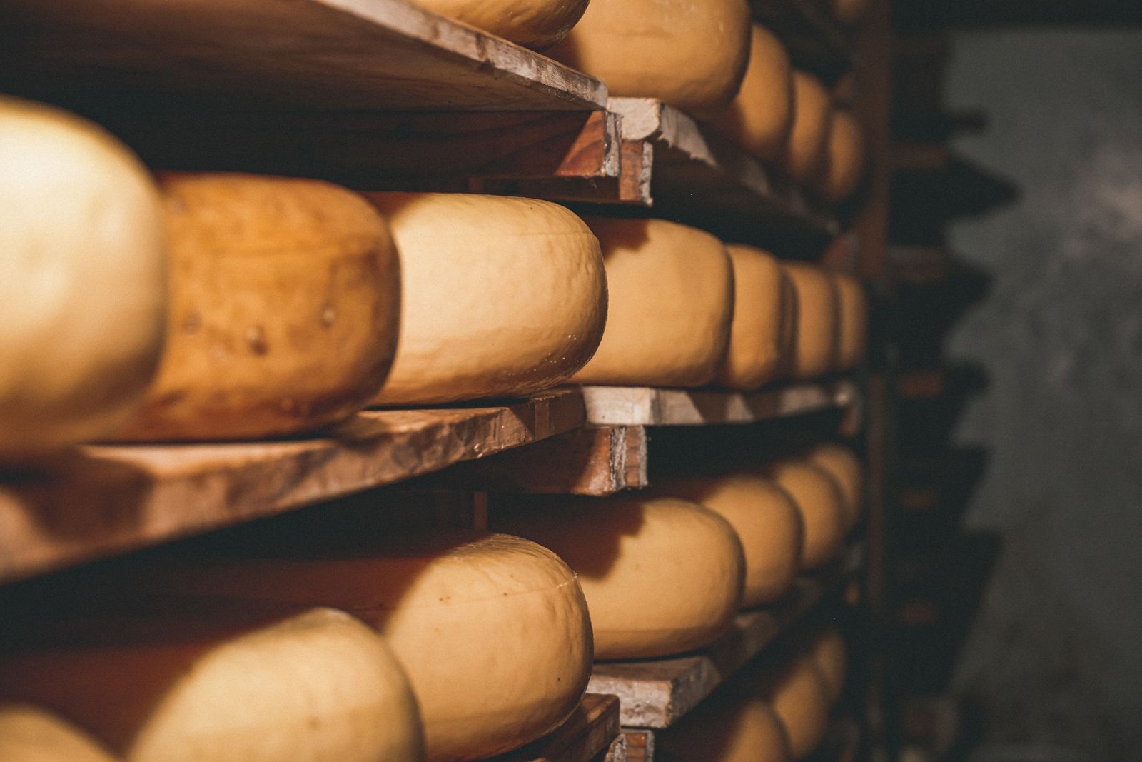 Dutch cheese wheels aging on shelves in a rustic setting, showcasing traditional cheese-making methods