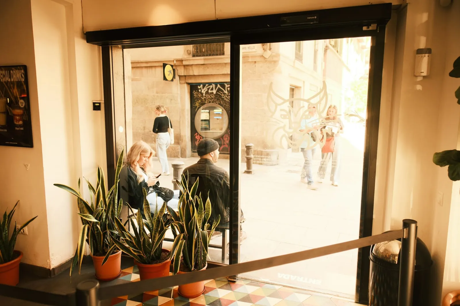 Barcelona cafe interior with plants, offering a street view through a glass door