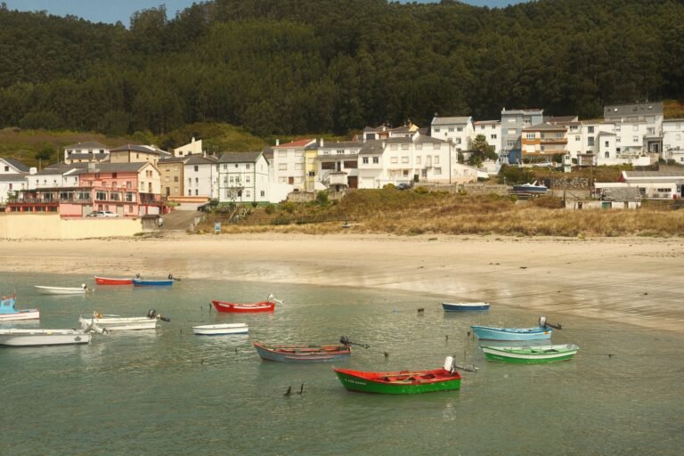 boats and coastal village in Galicia, Spain, with forest backdrop