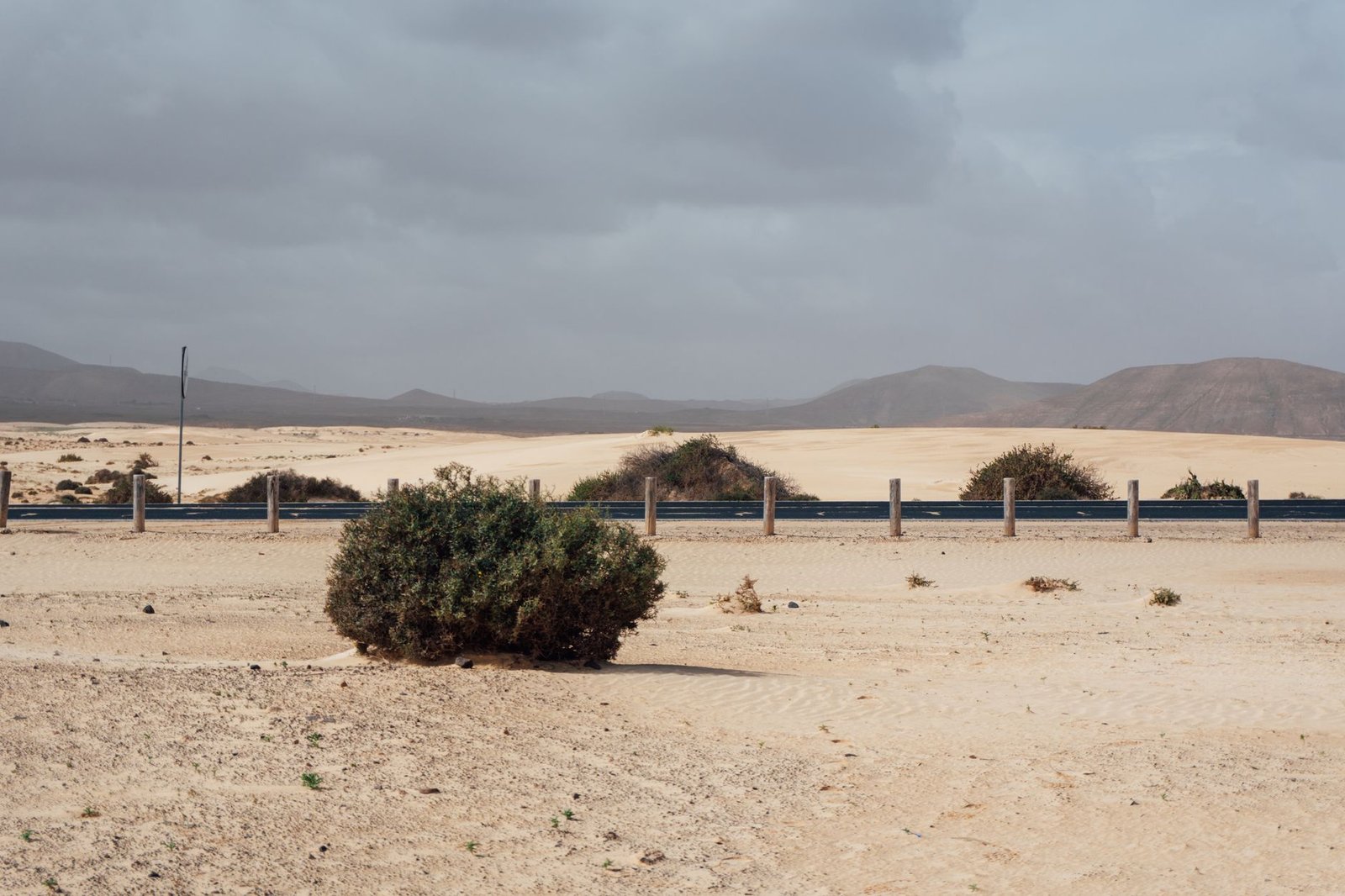 A vast and arid desert landscape in the Canary Islands with sparse vegetation