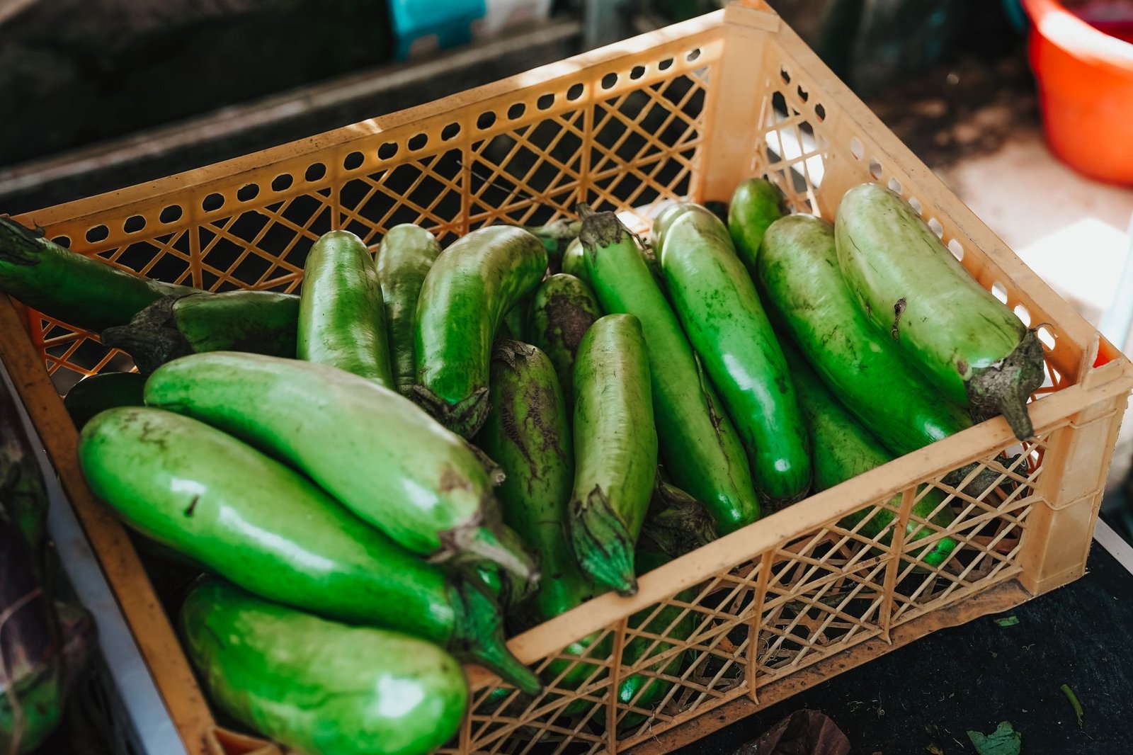 A crate filled with green eggplants displayed at a local market in Surabaya, Indonesia