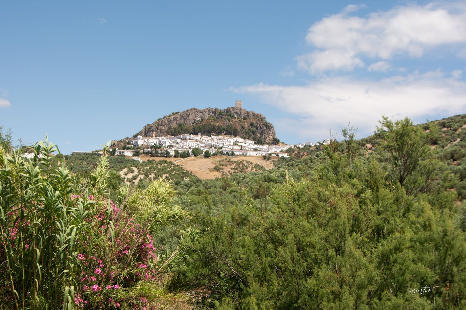 Historic hilltop town of Zahara de la Sierra with greenery and blue skies in Spain