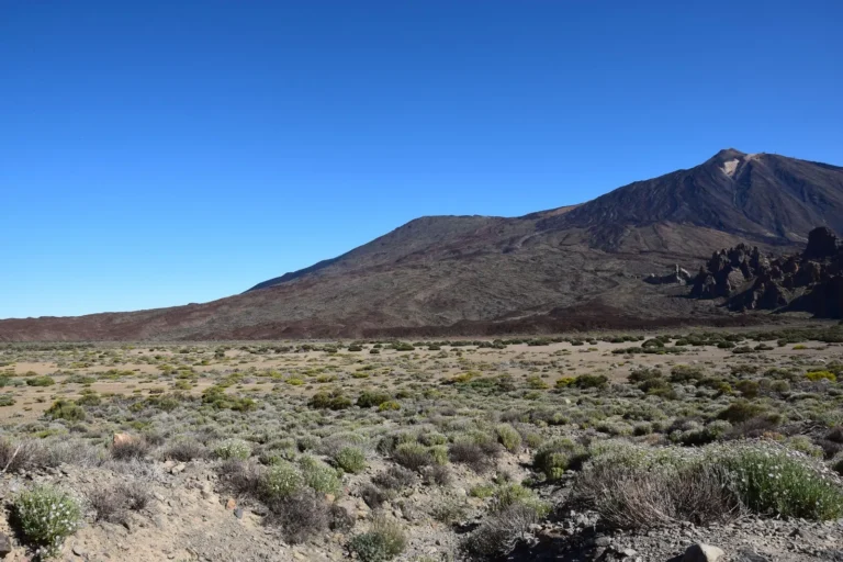 landscape of Mount Teide and arid terrain in Tenerife under clear blue sky