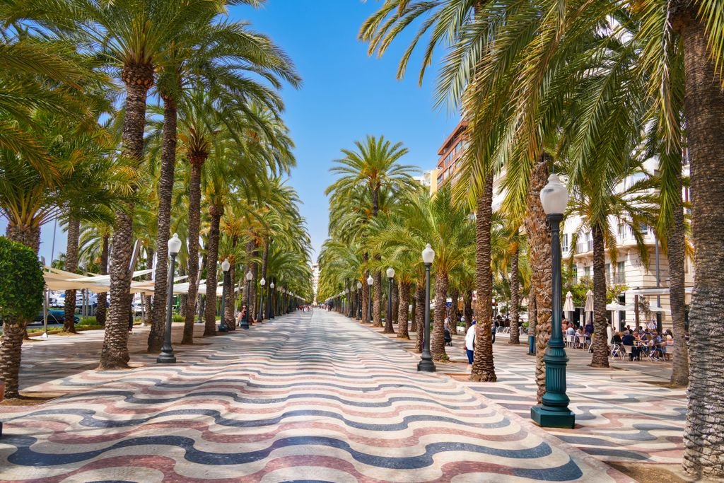 Vibrant palm-lined promenade in Alicante with iconic wavy tile pattern. Perfect for travel and architecture enthusiasts.